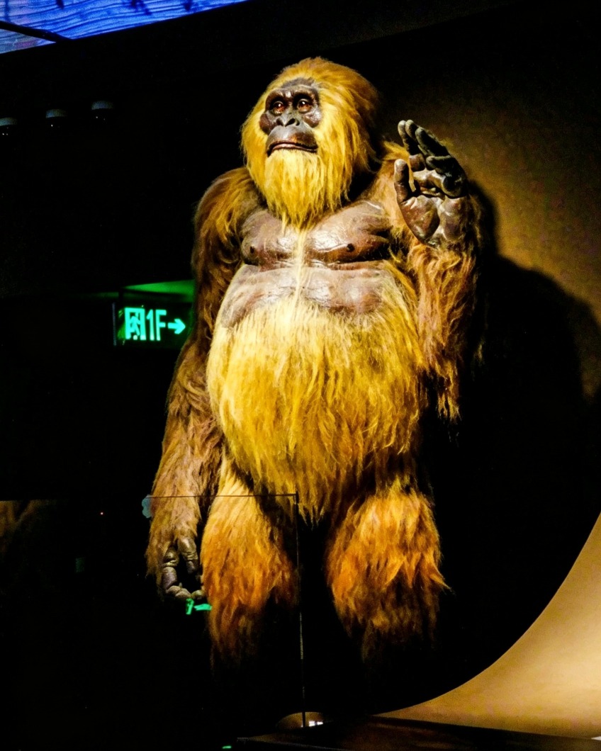 Shenzhen Natural History Museum Human Hall Shenzhen Natural History Museum1