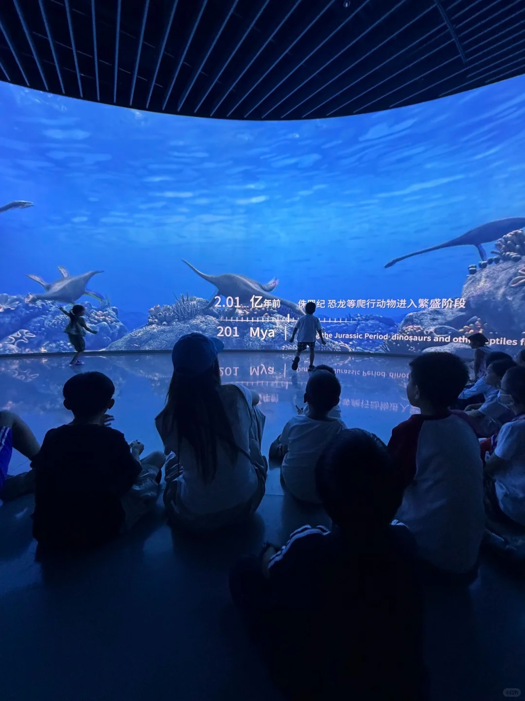 Shenzhen Natural History Museum6