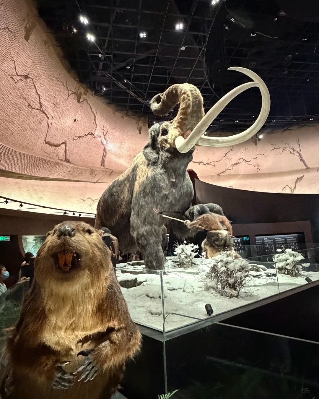 Shenzhen Natural History Museum4
