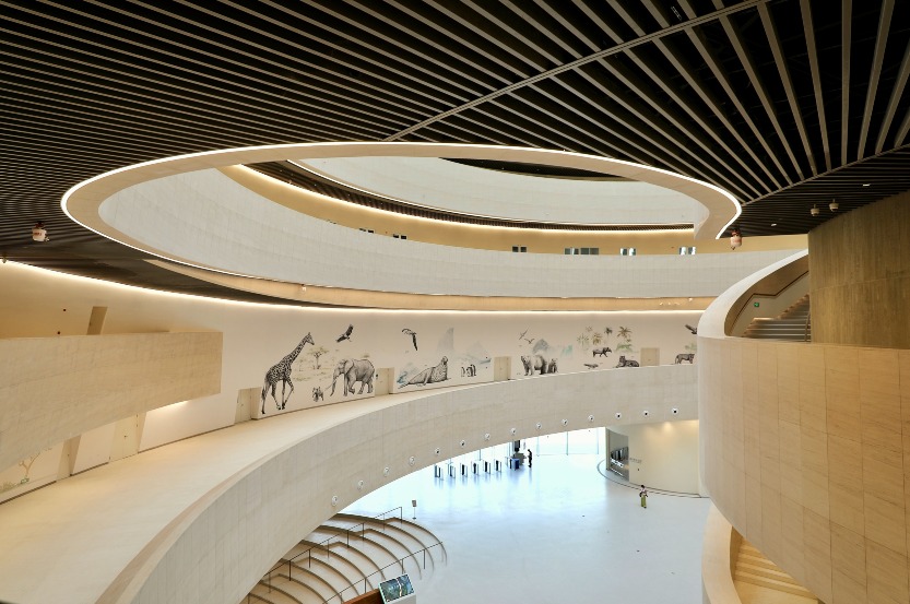 Shenzhen Natural History Museum