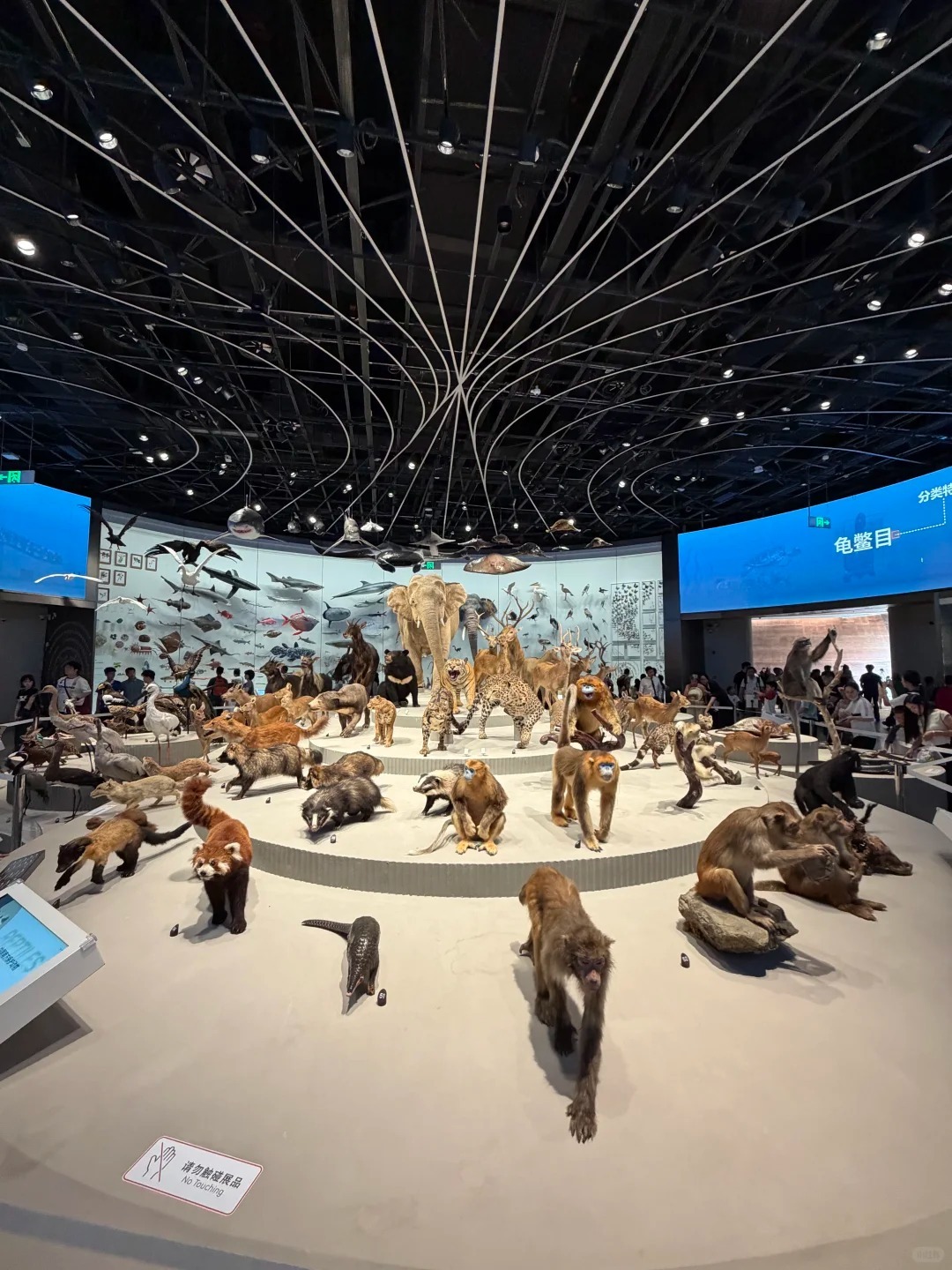 深圳自然博物館生物廳 深圳自然博物館生物廳