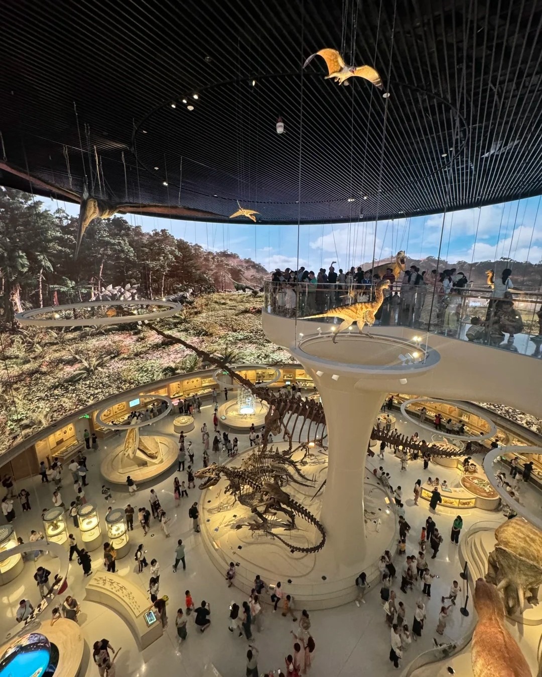 深圳自然博物館恐龍廳 深圳自然博物館恐龍廳