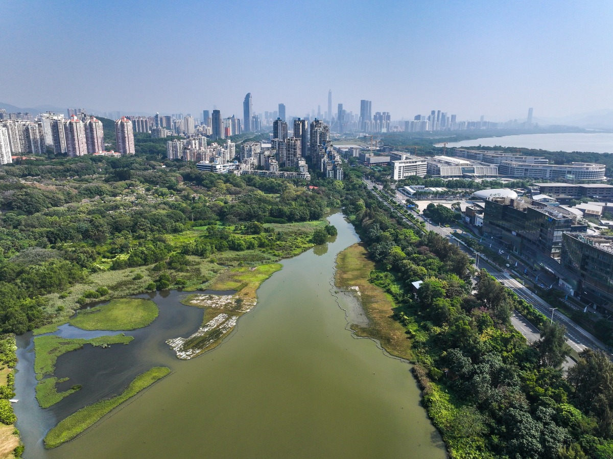 華僑城濕地公園   
