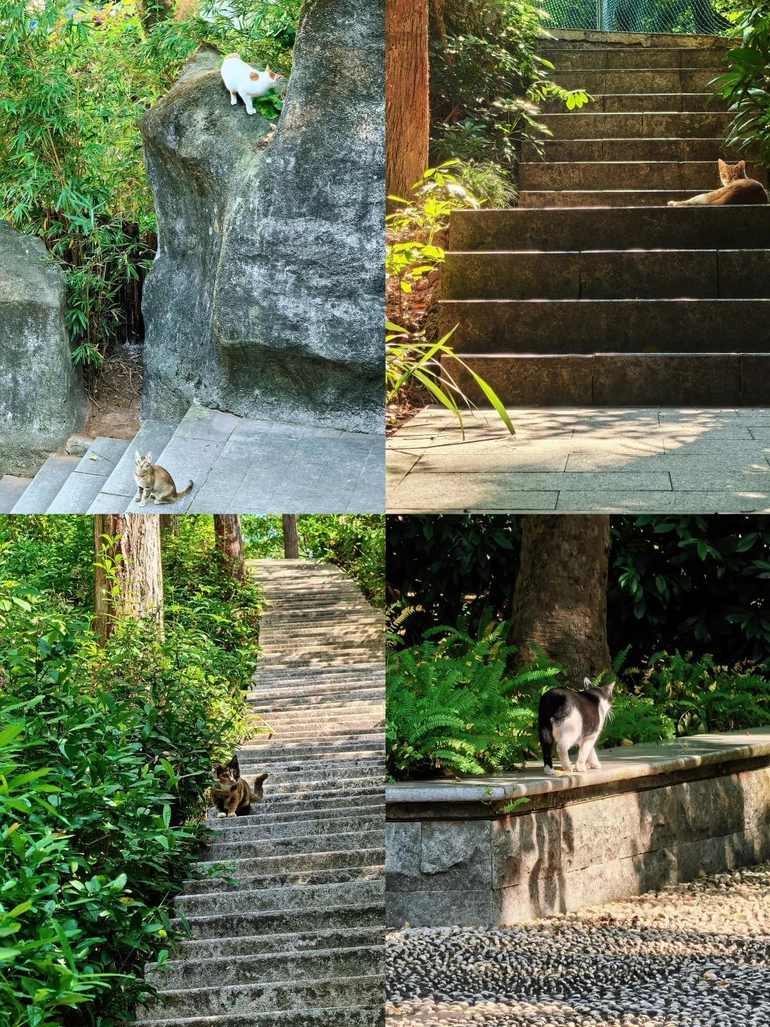 皇崗口岸7號線食買玩攻略-翠竹公園 皇崗口岸7號線食買玩攻略-翠竹公園