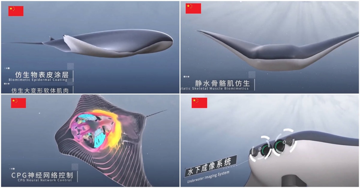 Bionic Manta Ray