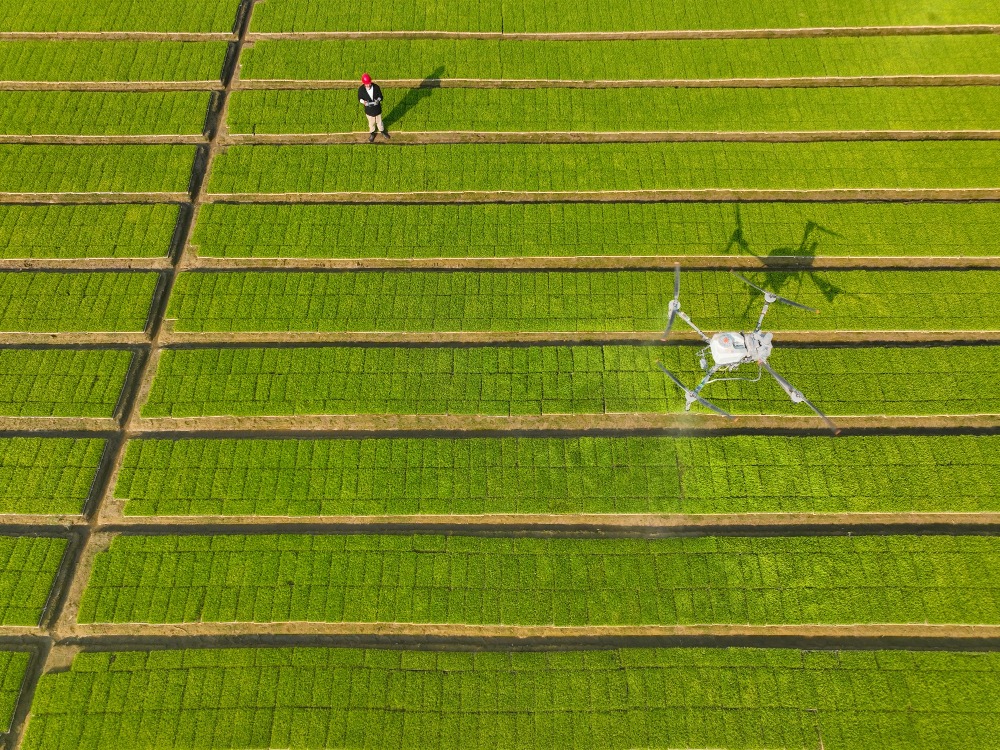 New Professions in the Low-altitude Economy