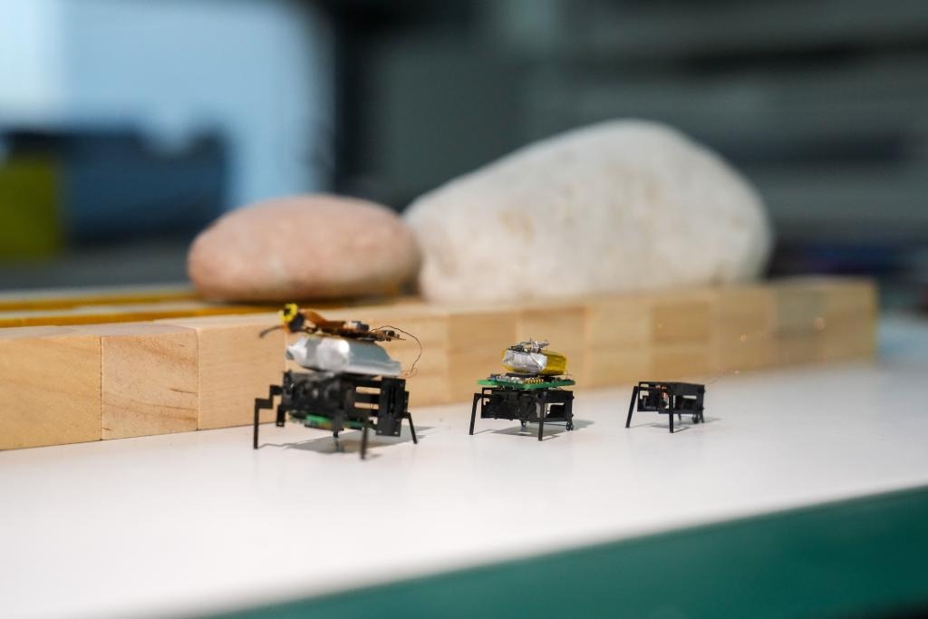 Insect robots
