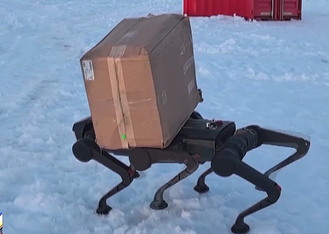 Six-legged robot dog carrying a load