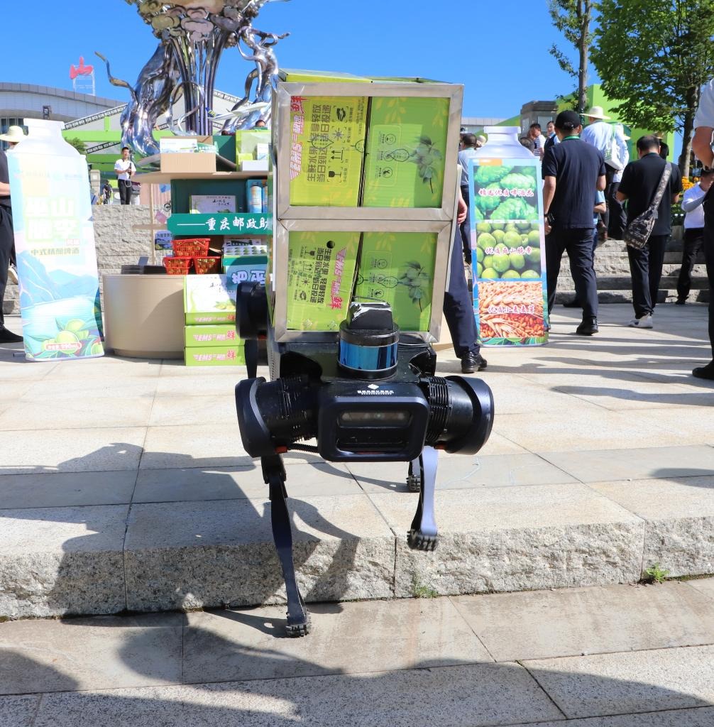 Comparison between legged robot dogs and wheeled-legged robot dogs2