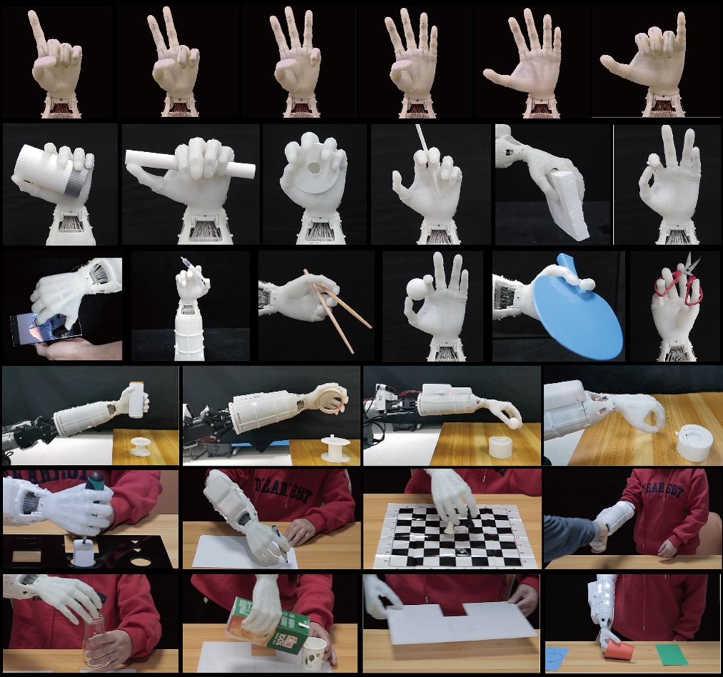 Dexterous hand image 04