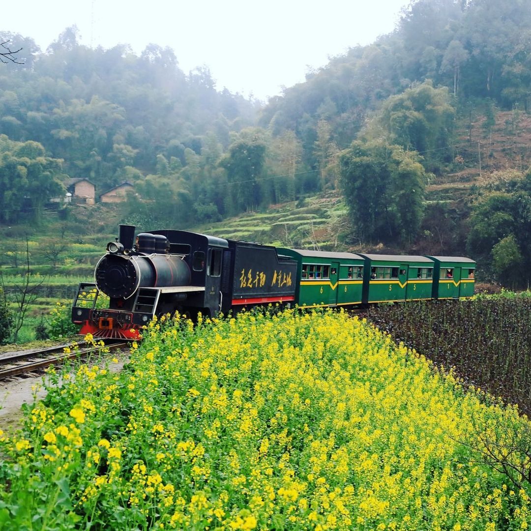 當代中國-中國旅遊-中國文化-四川-花海-嘉陽-旅遊-1