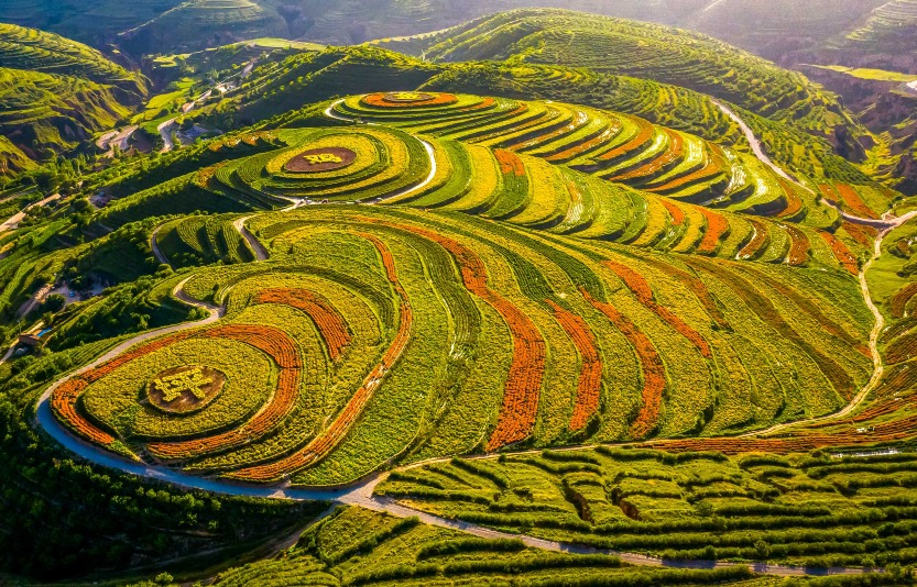 當代中國-中國旅遊-中國文化-寧夏-金雞坪-梯田-1