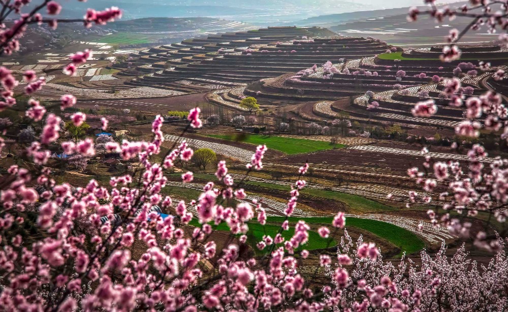 當代中國-中國旅遊-中國文化-寧夏-金雞坪-梯田-2 當代中國-中國旅遊-中國文化-寧夏-金雞坪-梯田-2