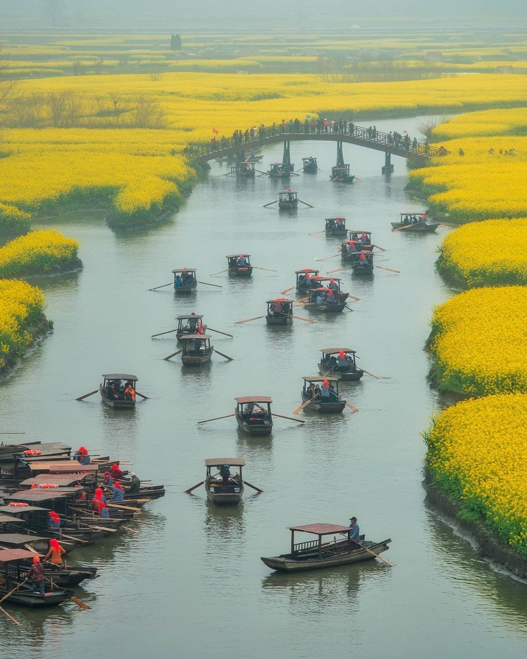 當代中國-中國旅遊-中國文化-江蘇旅遊-花海-中國農業-興化垛田-1