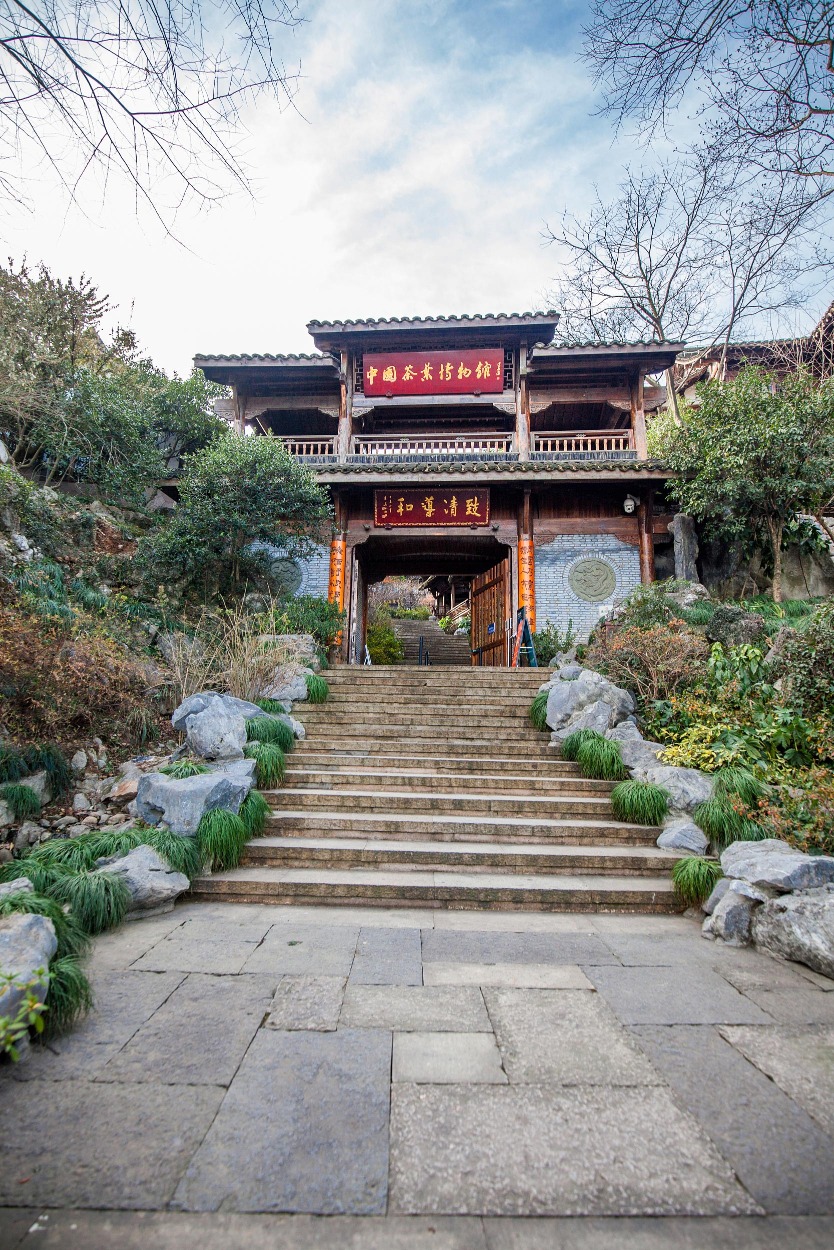 當代中國-中國旅遊-中國文化-茶-中國茶-B-2 當代中國-中國旅遊-中國文化-茶-中國茶-B-2