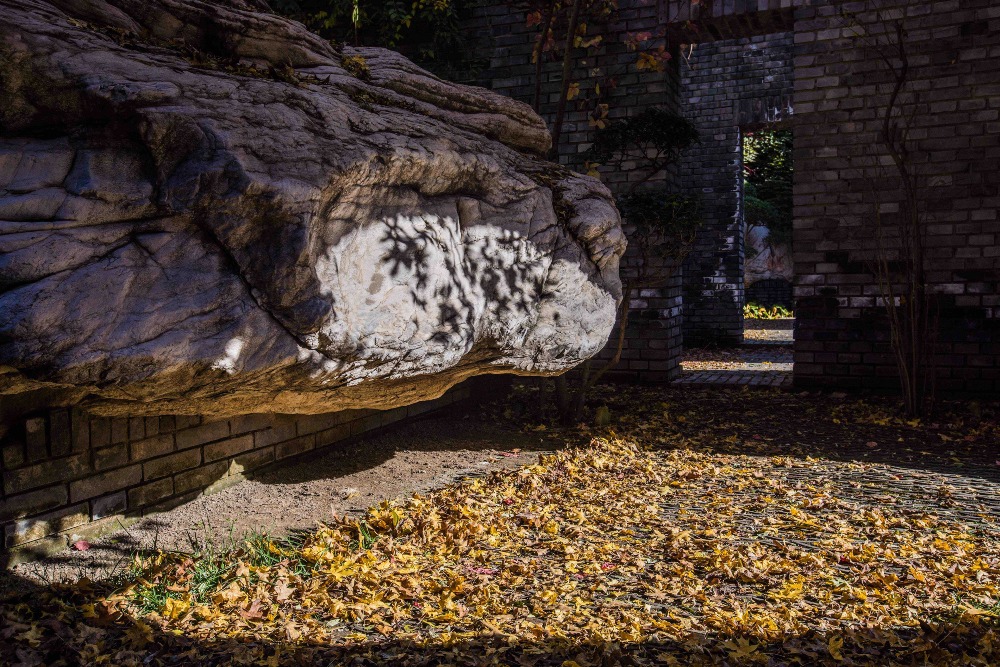 Contemporary China-China in Pictures-Red Brick Art Museum Gardens