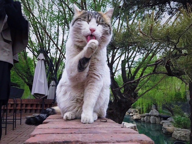 Contemporary China-China in Pictures-Red Brick Art Museum Gardens