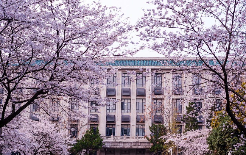 當代中國-圖說中國-大學賞花勝地 當代中國-圖說中國-大學賞花勝地