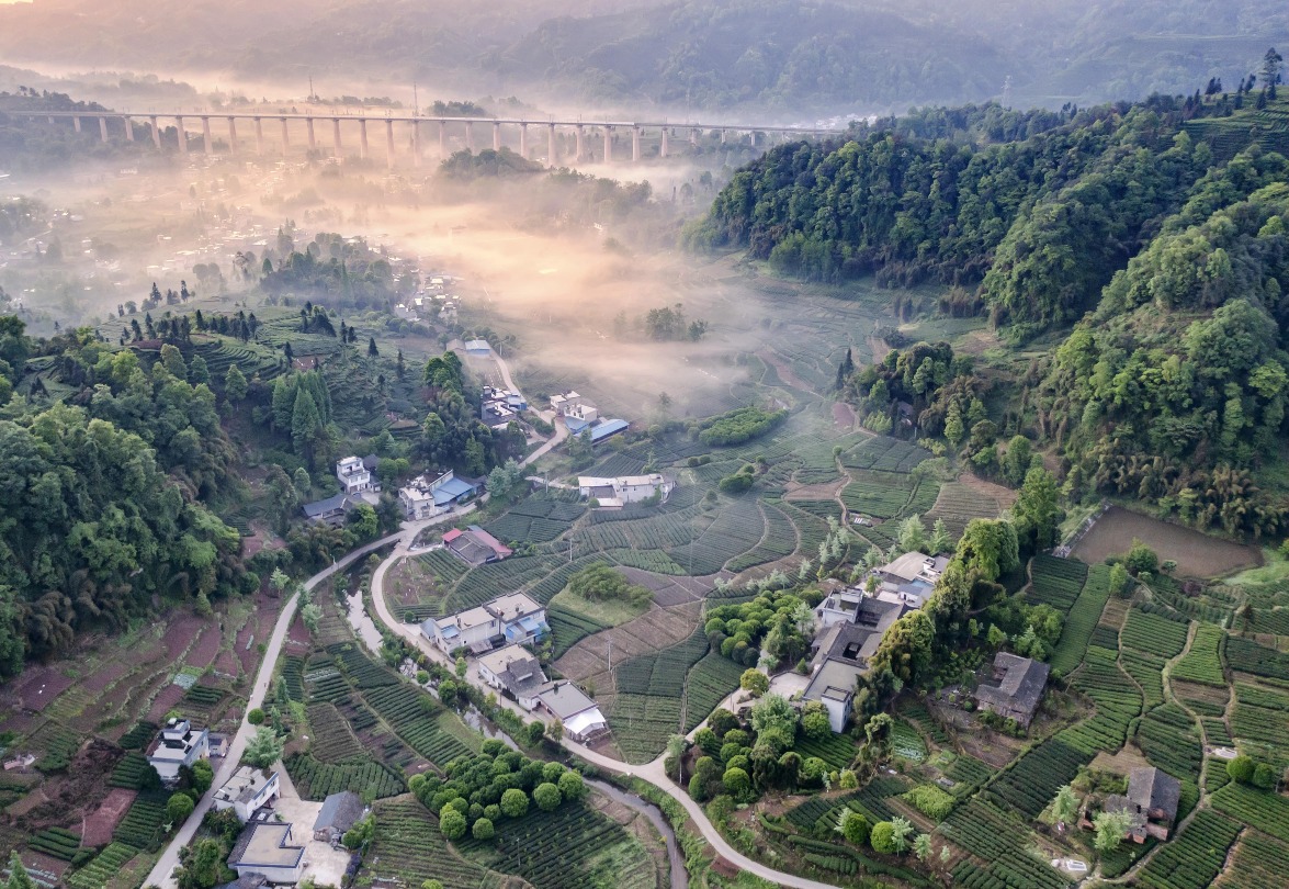 當代中國-中國旅遊-中國文化-中國茶文化-四川-蒙頂山