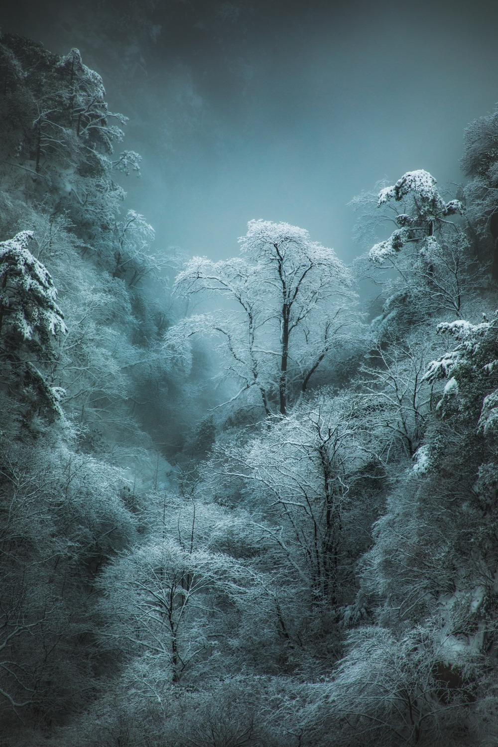 China's Rime Ice Destination: Huangshan Mountain