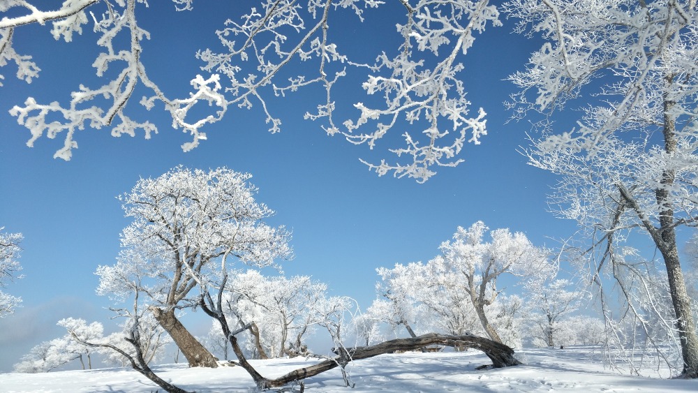 China's Rime Ice Destinations