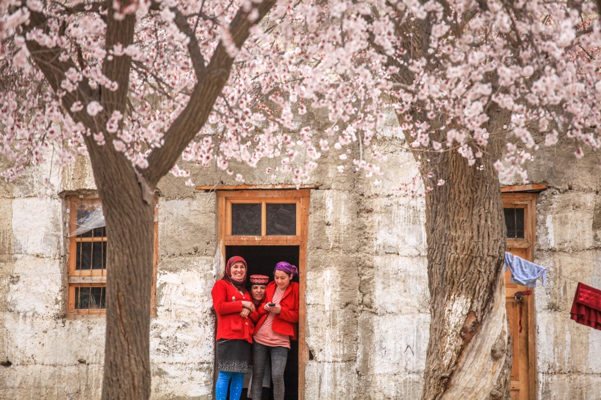 The Apricot Blossom Village on the Pamir Plateau in Southern Xinjiang