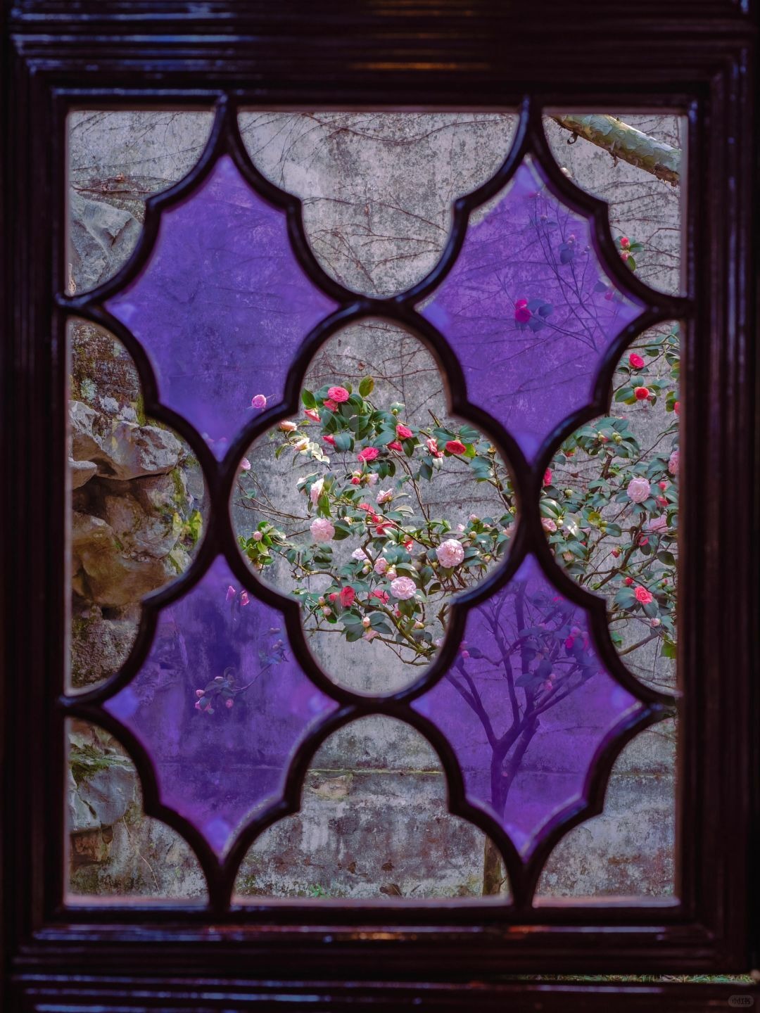 蘇州園林花窗