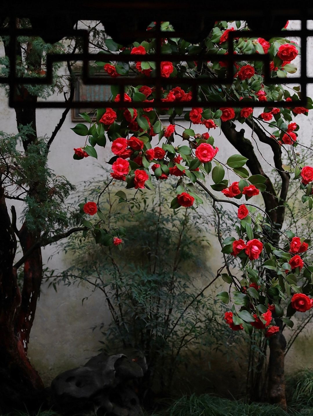 苏州园林花窗