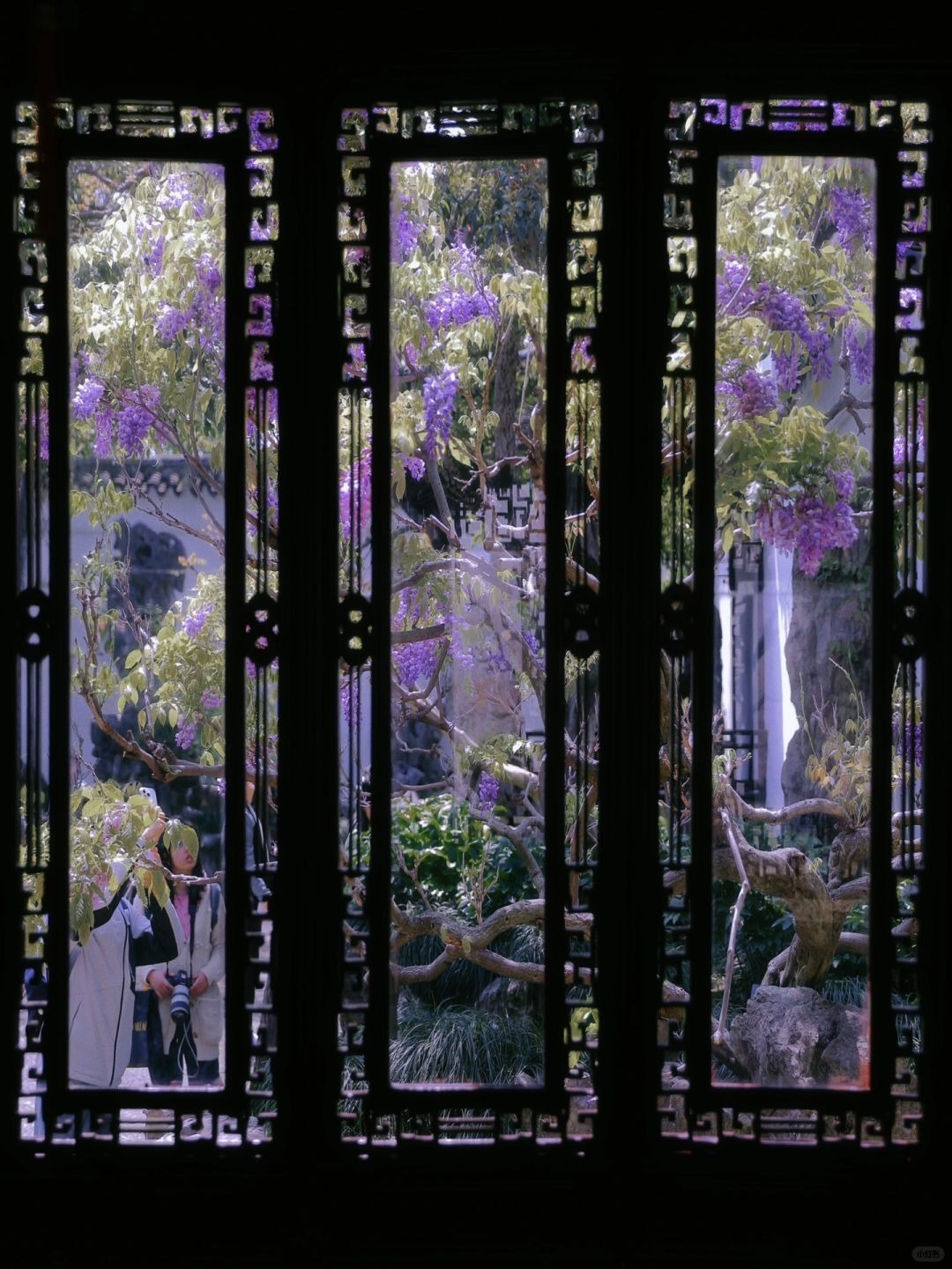 蘇州園林花窗