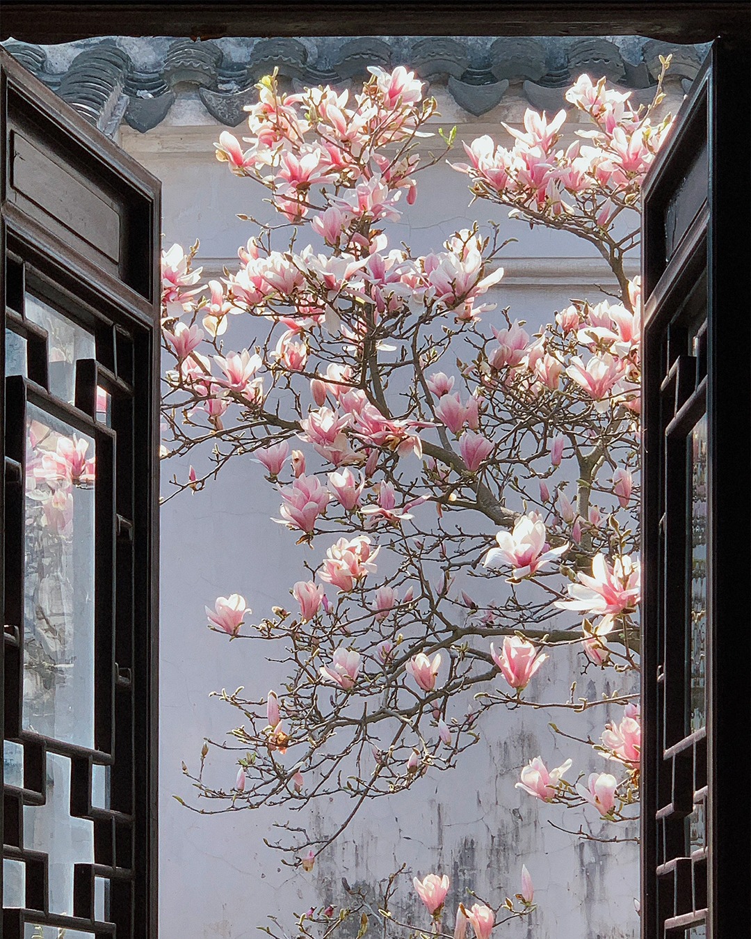 苏州园林花窗