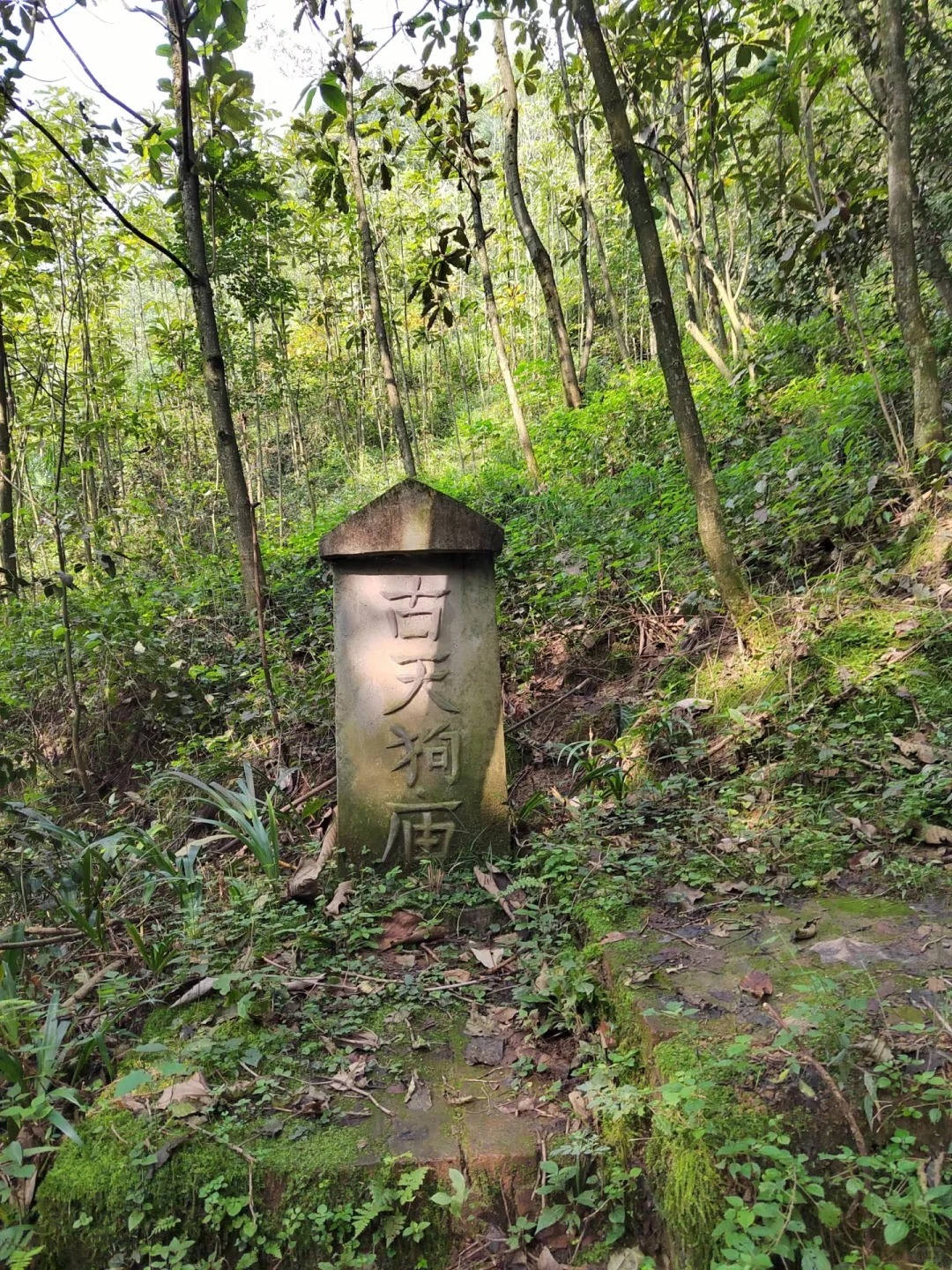 The stele of the Ancient Tiangou Temple in Sichuan
