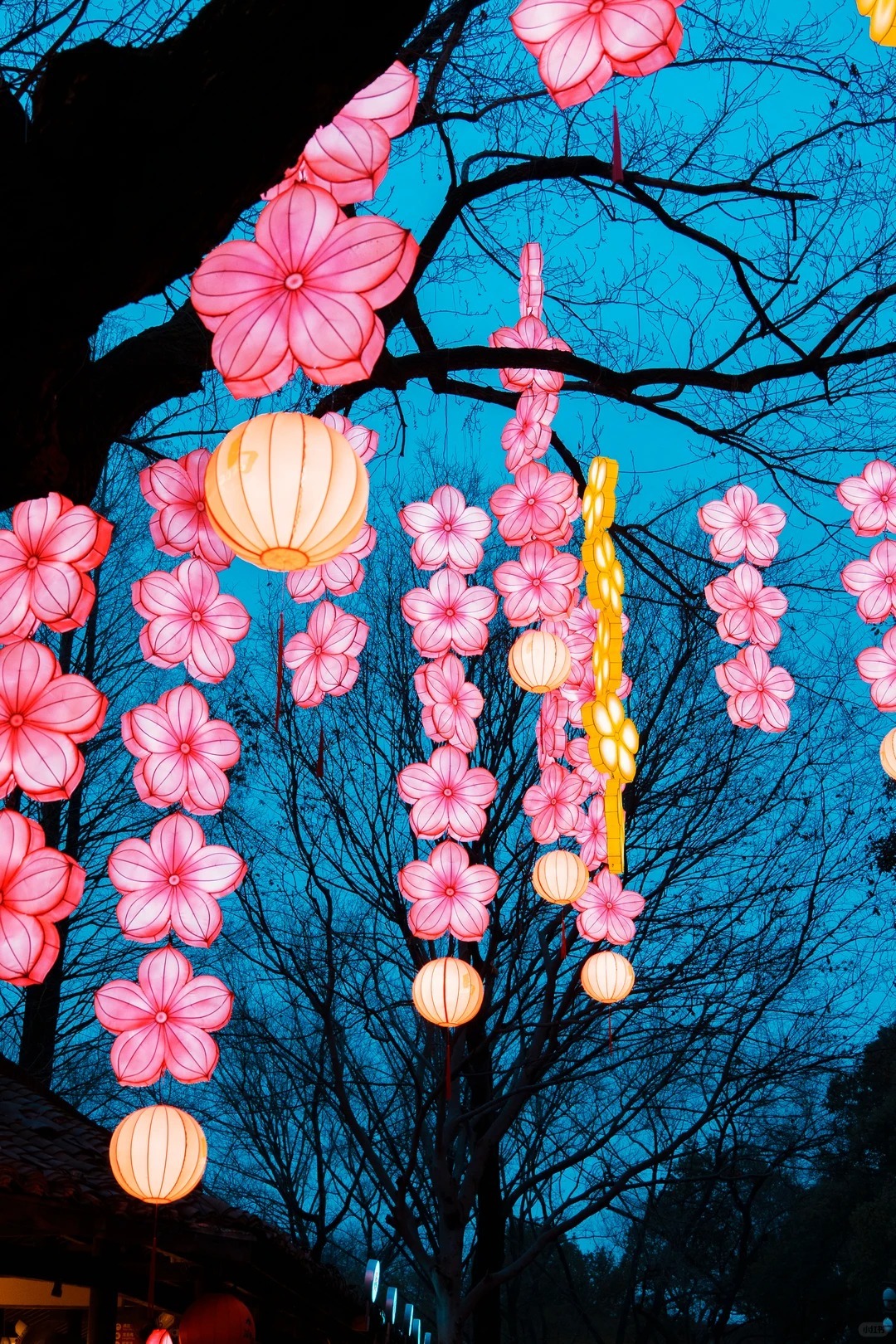 西溪濕地燈會，布置了不少梅花造型的花燈。