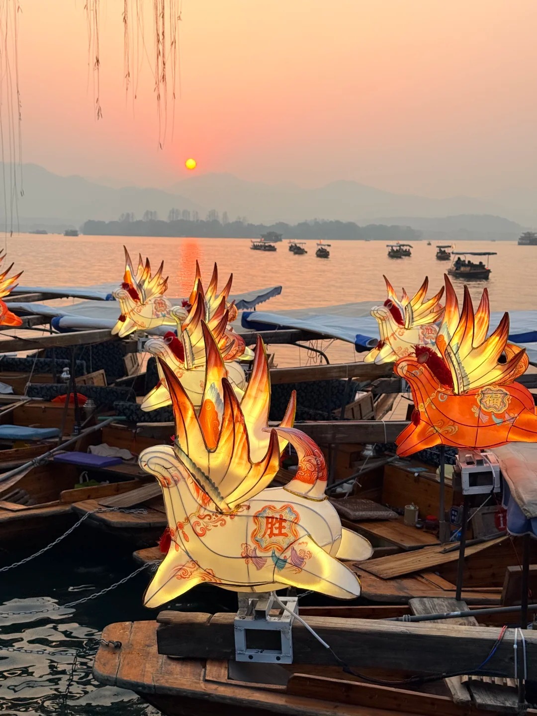 杭州西湖的「馬年福氣船」，船頭懸掛了宋韻小馬燈。