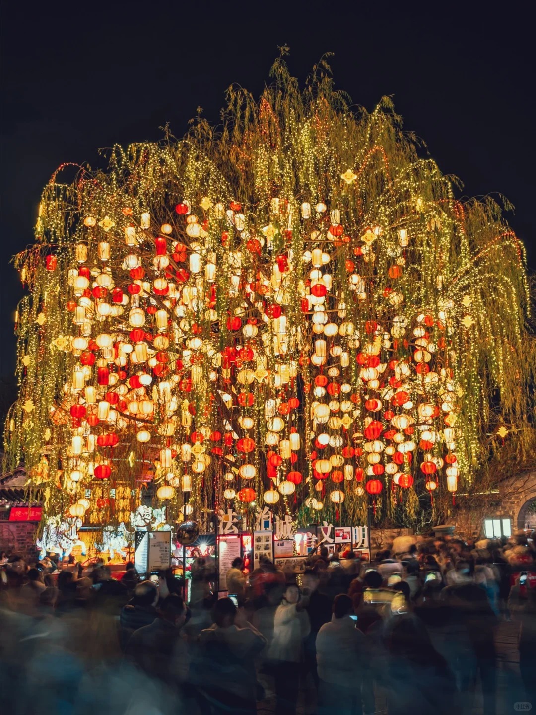 南京老門東，三條營港口的「福柳門東映芳華」燈組，樹上懸掛的小燈籠，宛如星河瀑布般垂落。
