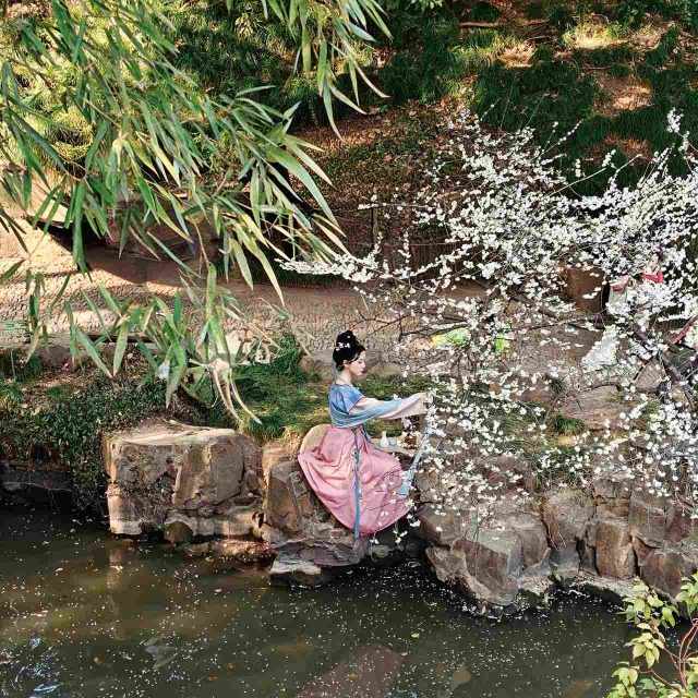 一位身著粉藍漢服的女子坐在水邊石上，身旁白梅盛放、竹影搖曳，背景是蘇州北寺塔梅圃的春日園林景緻。