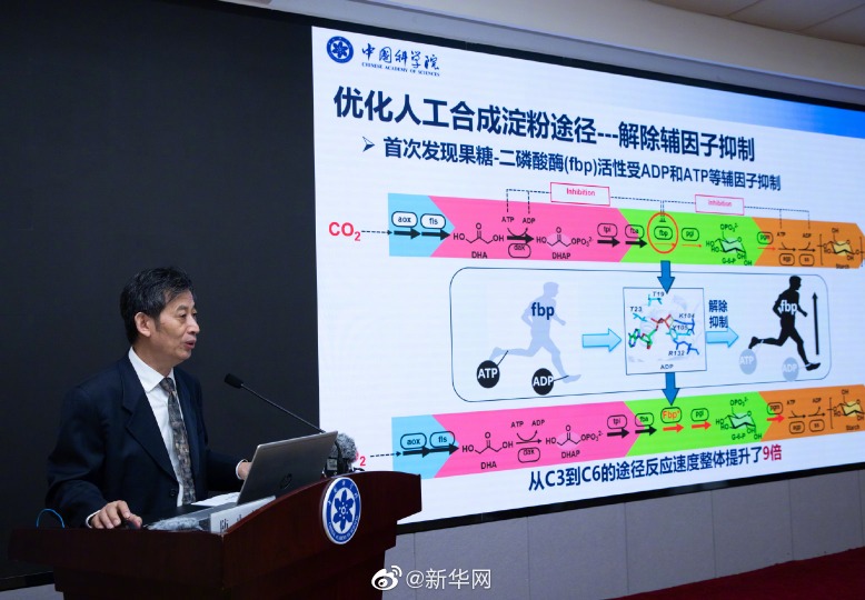 社會民生-人工澱粉2 社會民生-人工澱粉2