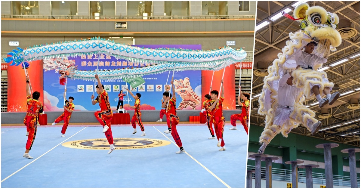 第十五屆全運會的群眾賽事活動中，23個群眾項目包括了屬於展演類的舞龍無獅。