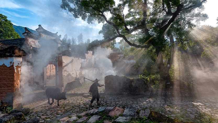當代中國-統計中國-傳統村落保護