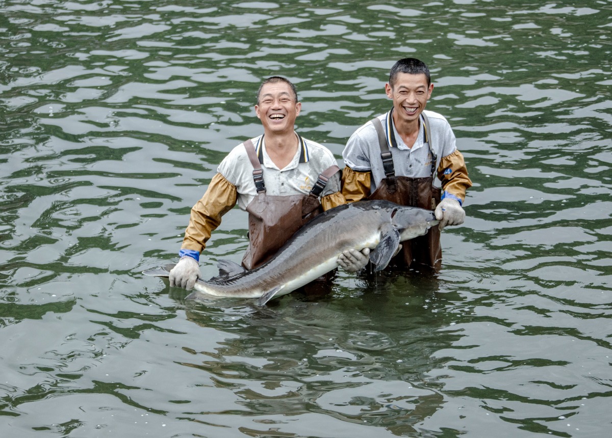 Tianquan Sturgeon Breeding Base, Ya'an