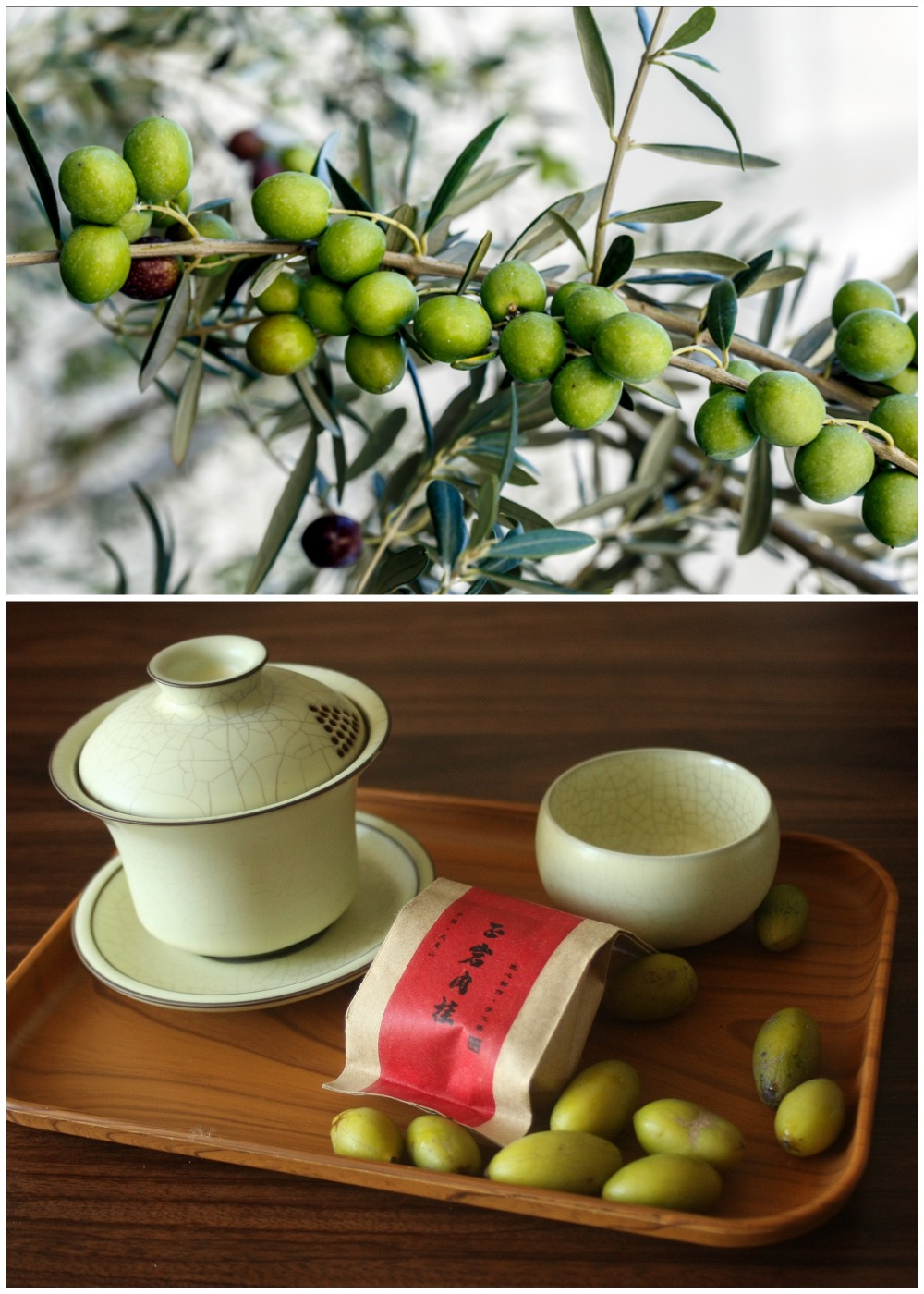 Comparison between oil olives and olives