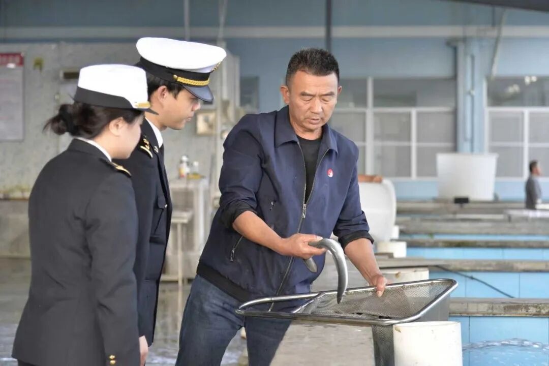 中國海關關員在鰻魚養殖企業調研。（網上圖片）