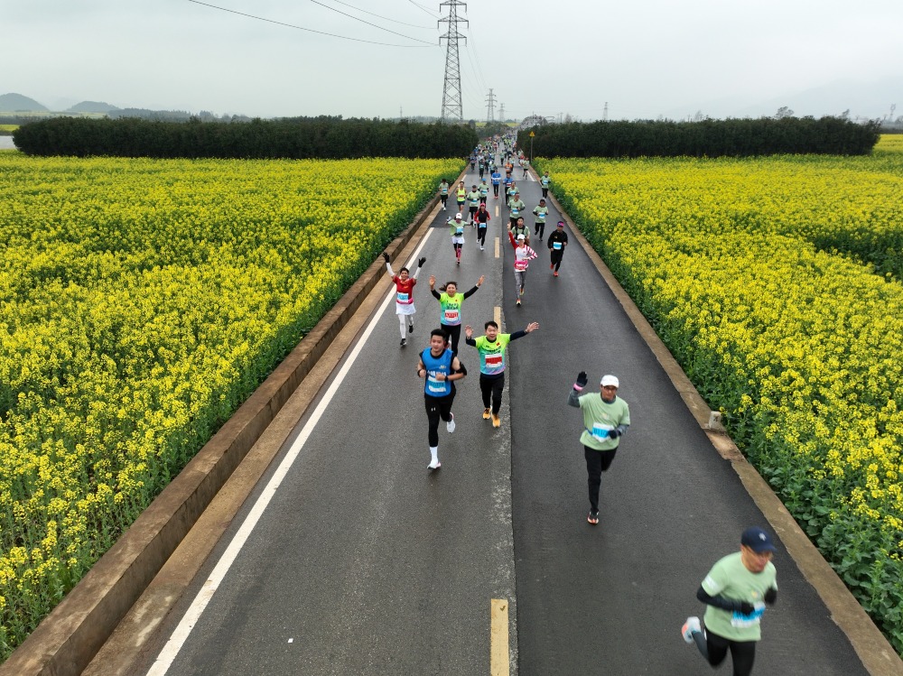 The Yunnan Qujing Luoping Marathon is held amidst a sea of rapeseed flowers.