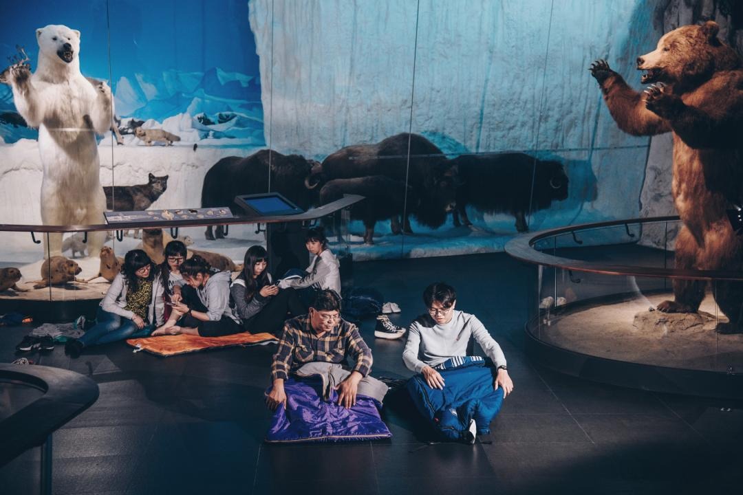 台南奇美博物館的夜宿體驗，觀眾可在博物館裏住一晚。。