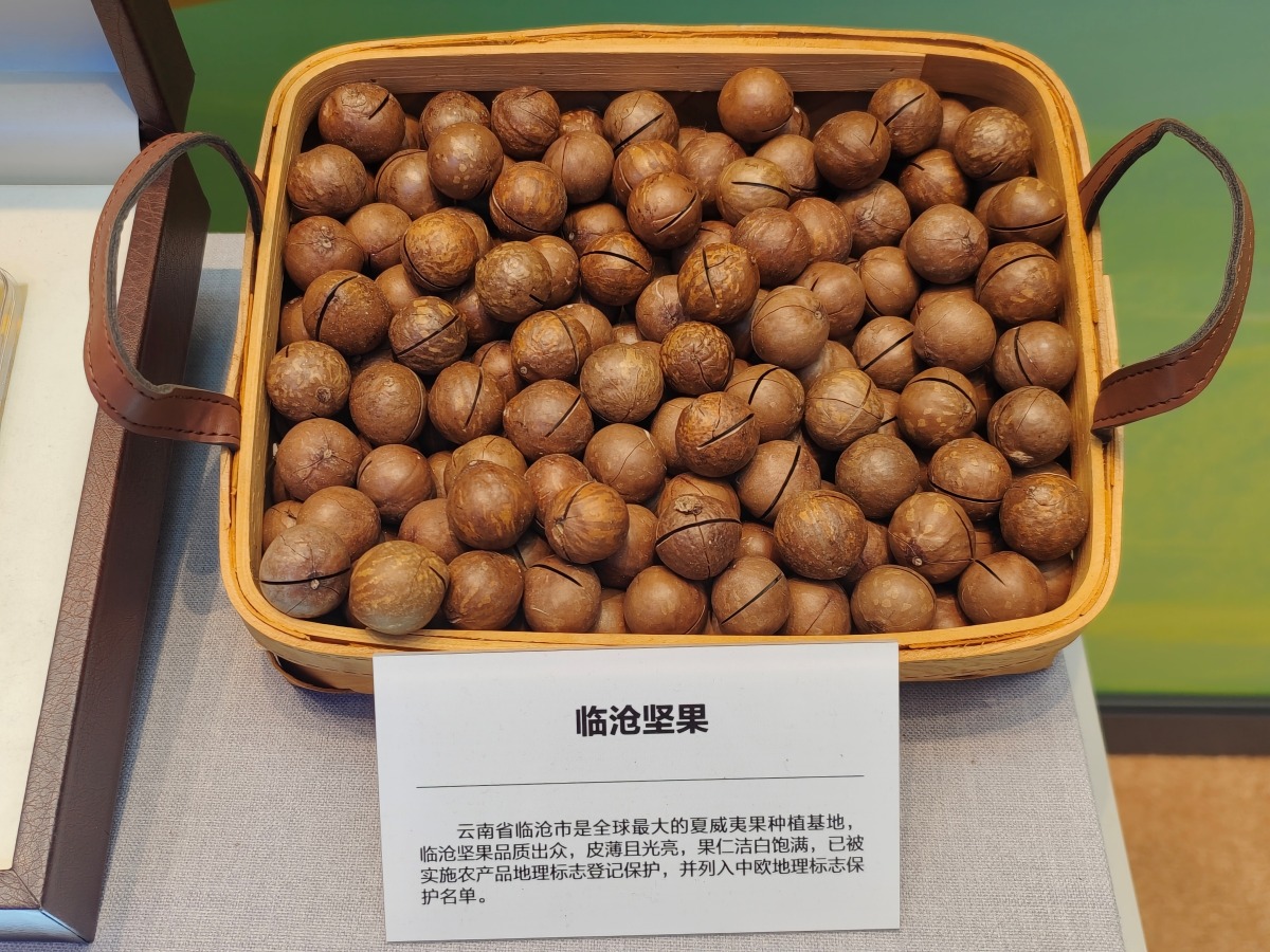 雲南臨滄夏威夷果