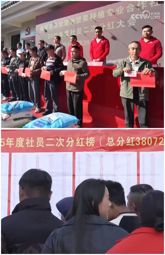 夏威夷果合作社二次分紅儀式