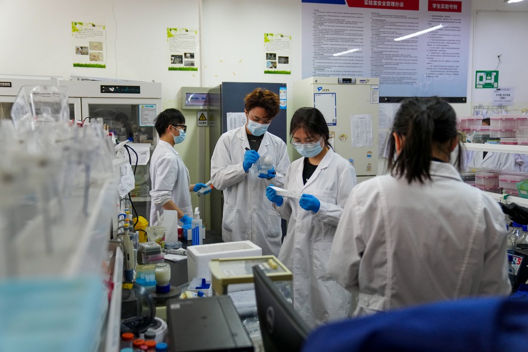 雲南大理大學的藥物研究人員在實驗室檢查數據。