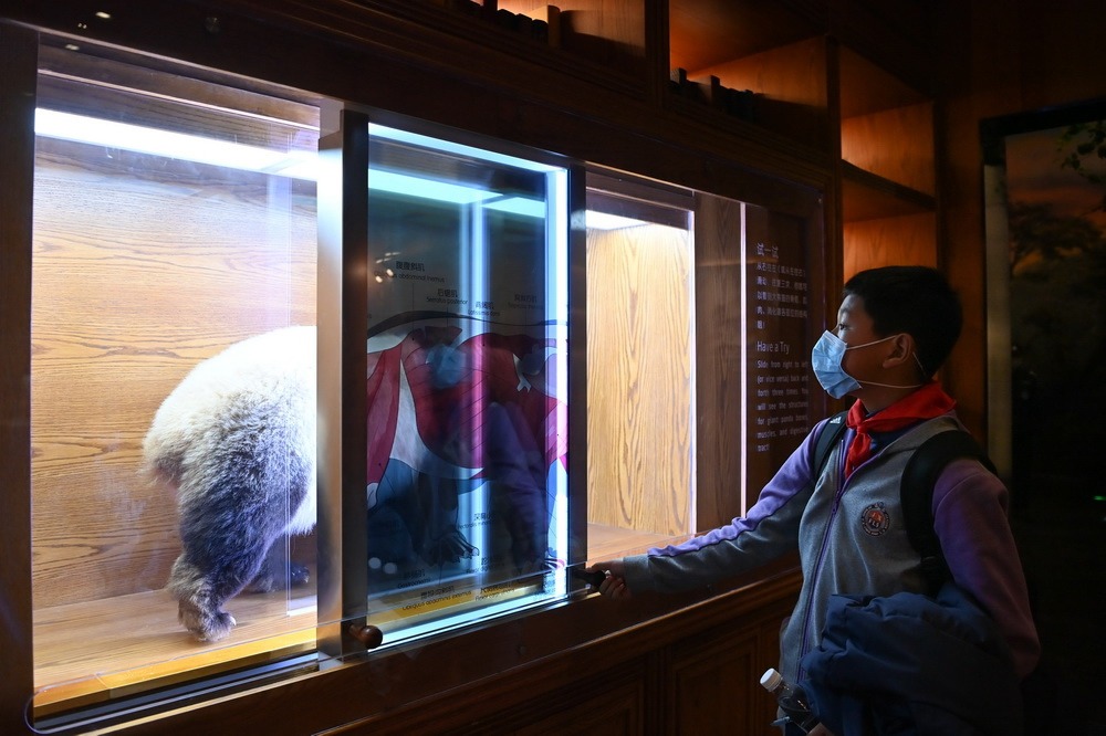 當代中國-中國新聞-熊貓博物館1