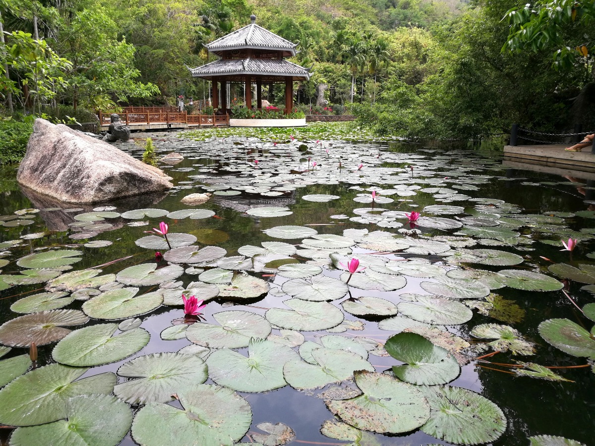 中國旅遊人間天堂的蘇州有熊民宿 旅遊風物 潮遊生活 當代中國