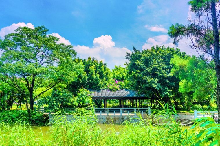 當代中國-中國旅遊-廣東旅遊-佛山-佛山小提琴教堂-04 當代中國-中國旅遊-廣東旅遊-佛山-佛山小提琴教堂-04