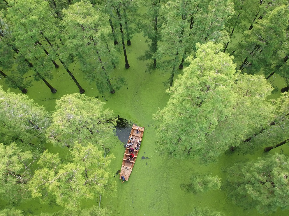 Modern China-China Travel-Floating Forests-Wuhan Zhangdu Lake Wetland Park